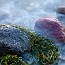 thumbs/IMG_4184.jpg