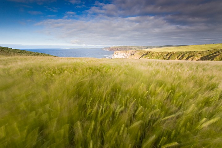 Landschaft