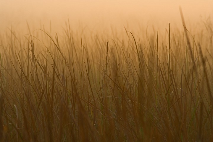 Landschaft