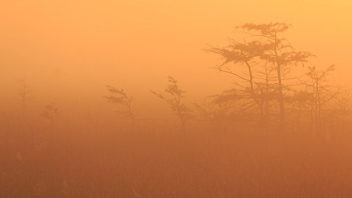 Landschaft Sonnenaufgang