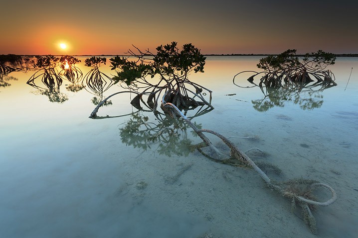 Landschaft Mangroven Sonnenuntergang