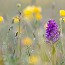 thumbs/IMG_3641.jpg