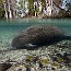 thumbs/06_IMG_0758.jpg