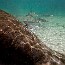 thumbs/16_IMG_0754.jpg