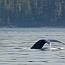 thumbs/IMG_6386.jpg