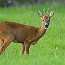 thumbs/IMG_8940.jpg