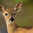 thumbs/IMG_9300.jpg