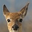 thumbs/IMG_9301.jpg