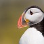 thumbs/IMG_1773.jpg