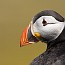 thumbs/IMG_1809.jpg