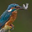 thumbs/IMG_6691.jpg