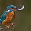 thumbs/IMG_6783.jpg