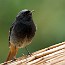 thumbs/CRW_0889.jpg