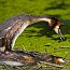 thumbs/IMG_7677.jpg